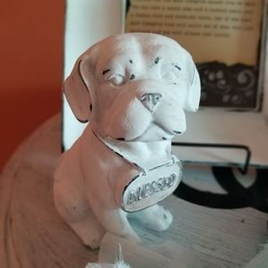 Adorable little distressed Doggie 🥰